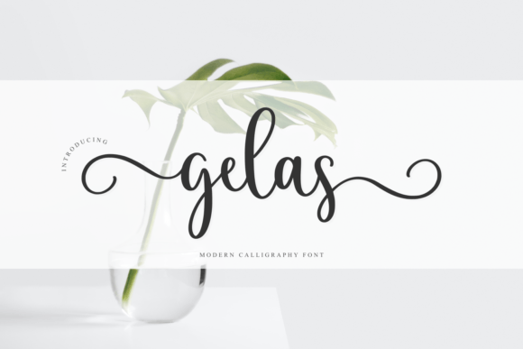How Gelas Brought Warmth and Personality to My Editorial Designs