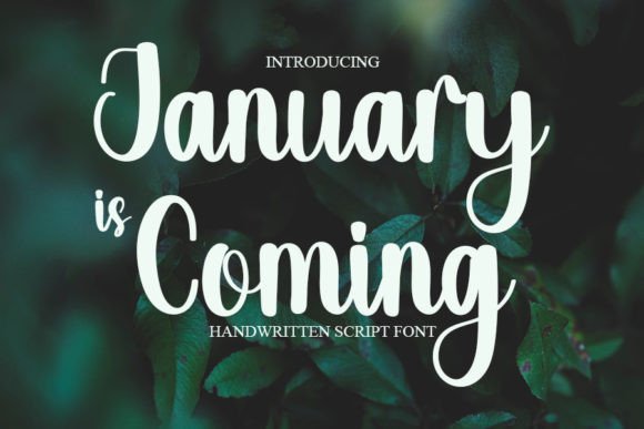 How January is Coming Font Transformed My Small Business Branding