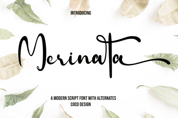 Merinata: A Charming Script Font for Elegant Editorial Design